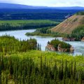 gorgeous river landscape in the yukon
