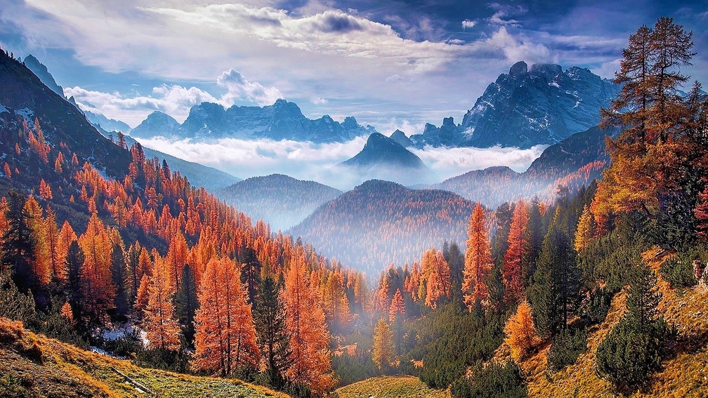 Autumn Forest At The Alps, Italy