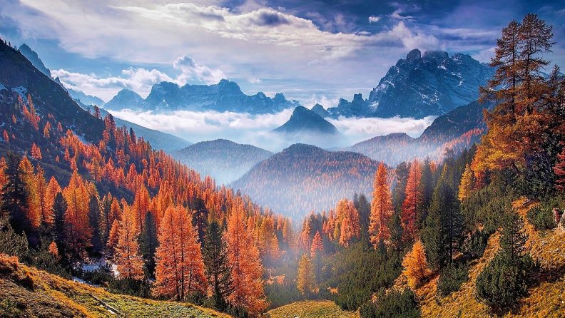 autumn_forest_at_the_alps_italy.jpg