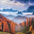 Autumn Forest At The Alps, Italy