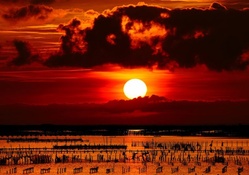 magnificent sunset over aquaculture nets