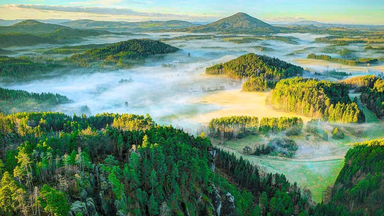 Morning Fog On The Bohemian Forest