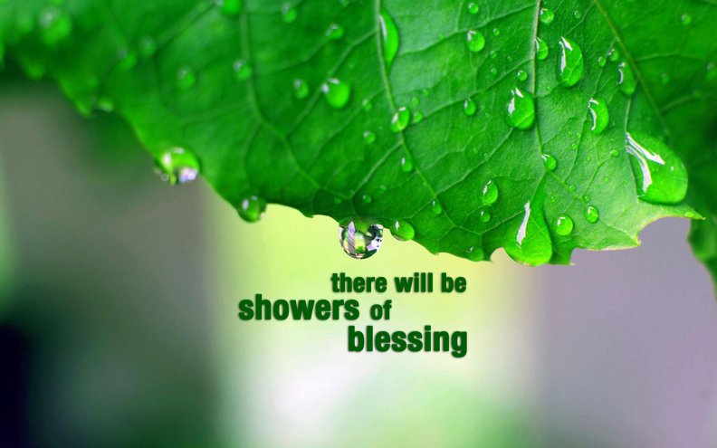showers_of_blessings.jpg