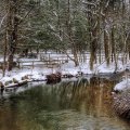 lovely_forest_river_in_winter.jpg