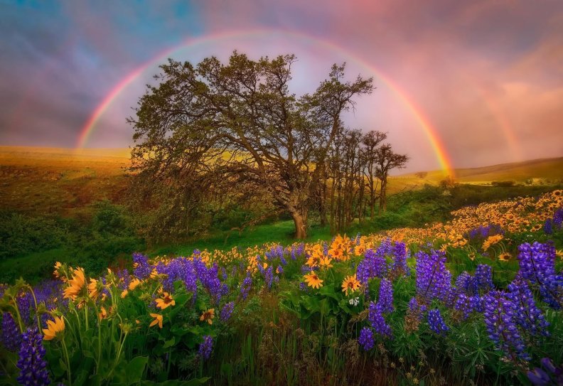 beautiful_rainbow.jpg