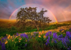 * Beautiful rainbow *
