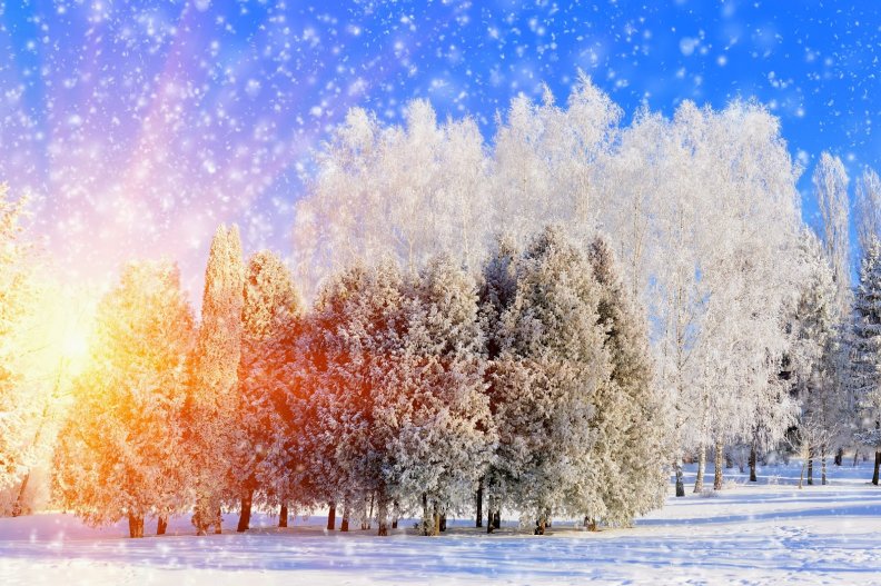 Winter Light Download HD Wallpapers and Free Images