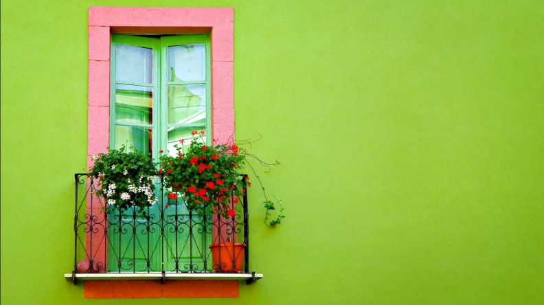 green_wall_with_window.jpg