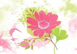 Watercolor Blossoms