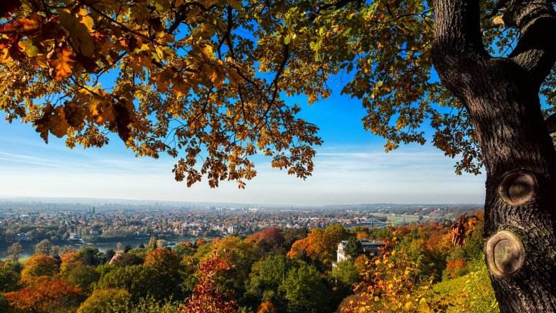 wonderful_view_from_a_hill_above_dresden_germany.jpg