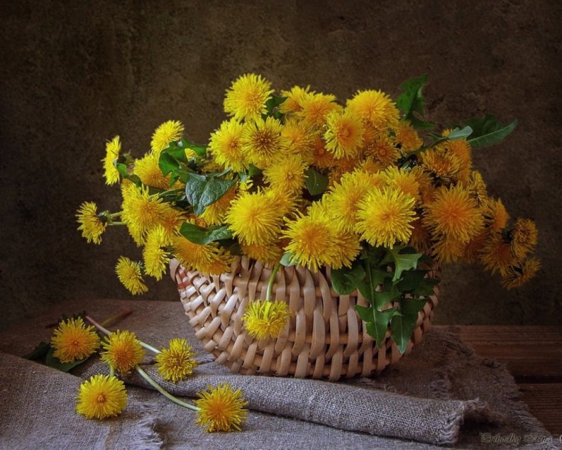 basket_of_yellow_flowers.jpg