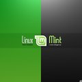 Linux _ Mint2