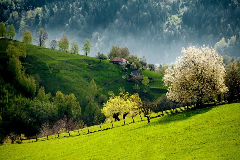 Slovenien Landscape