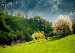 Slovenien Landscape