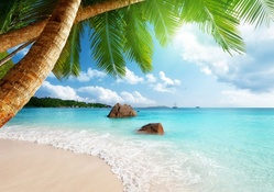 * Tropical beach *