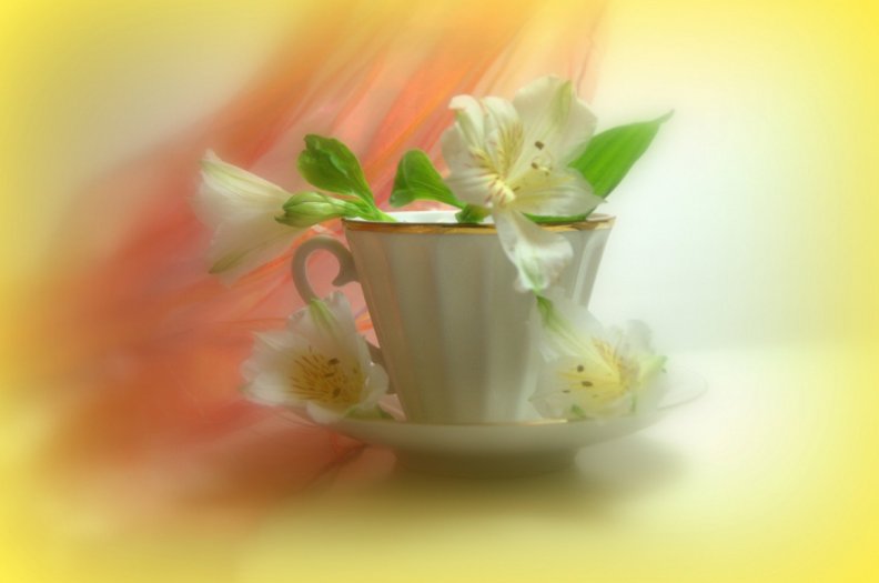 cup_of_lily_for_dreamer_girl_luiza.jpg