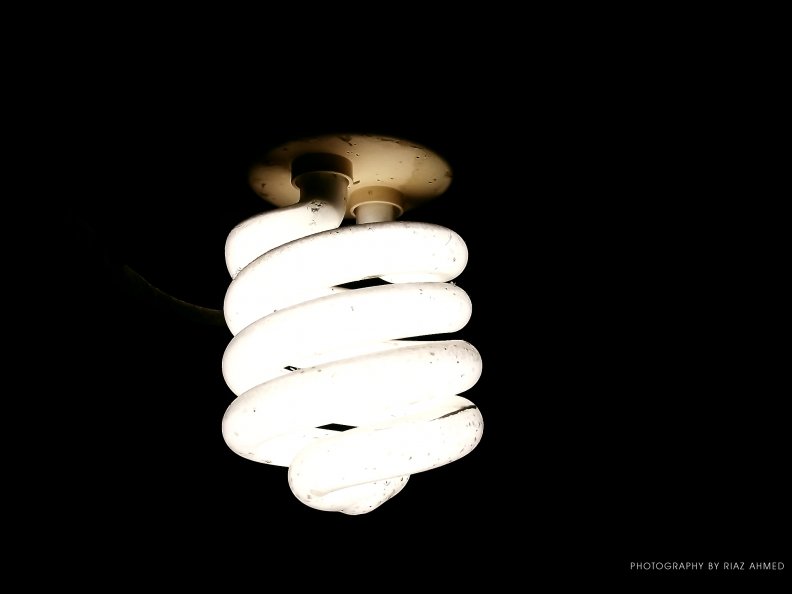 energy_saver_bulb.jpg