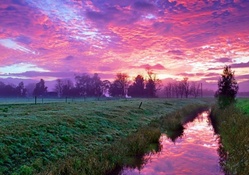 Purple Sky At Sunrise