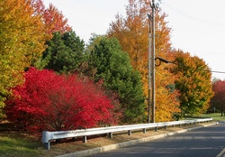 New Jersey autumn