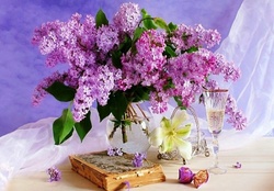 Lilac glory