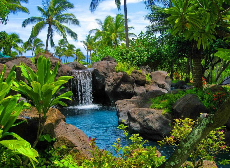 Tropical paradise Download HD Wallpapers and Free Images