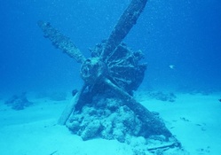 Wrecks Underwater