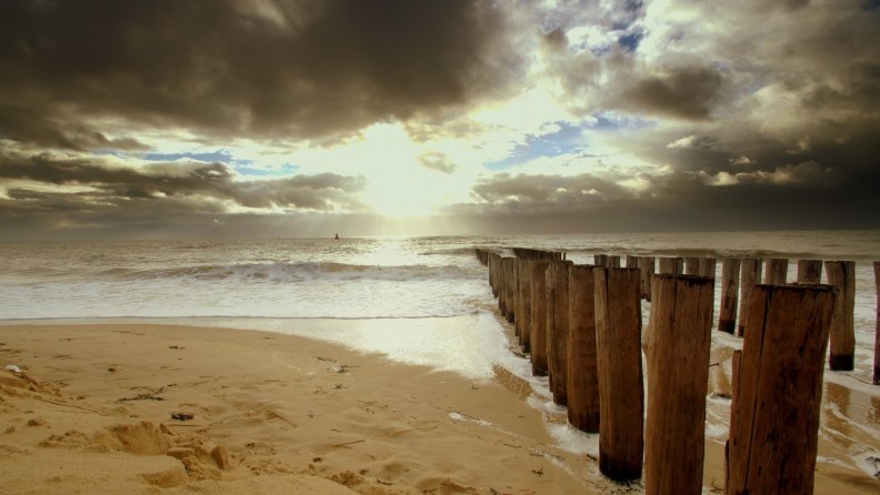 row_of_wooden_pylons_on_a_beach.jpg