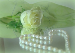 Rose &amp; Pearls