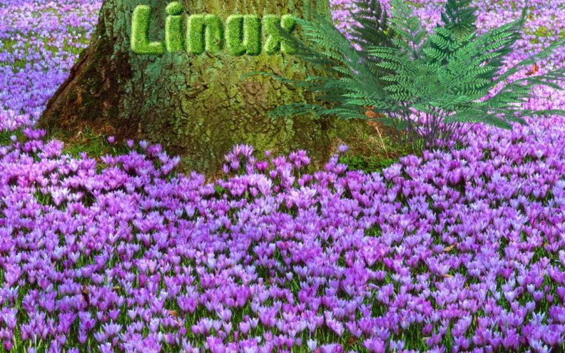 Linux_Springtime