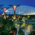 singapor park vecher