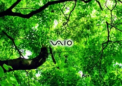 Vaio_Tree