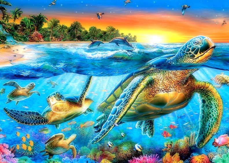 ★Sea Turtles in Paradise★