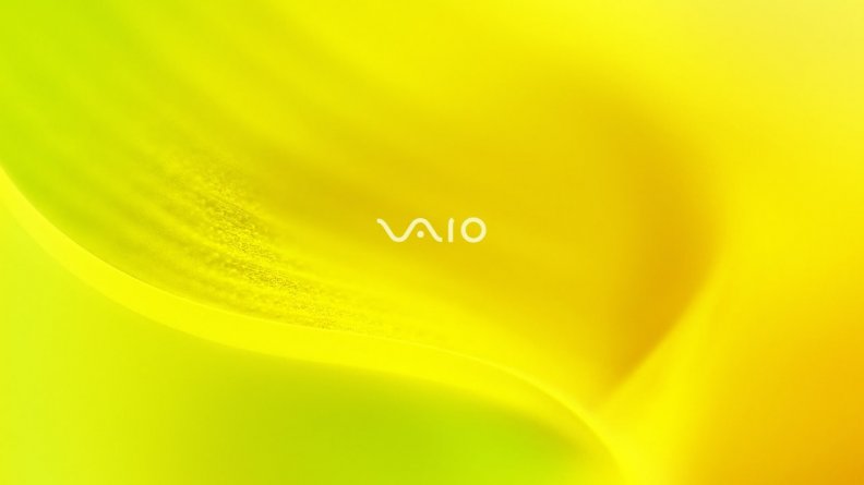 vaio_yellow.jpg