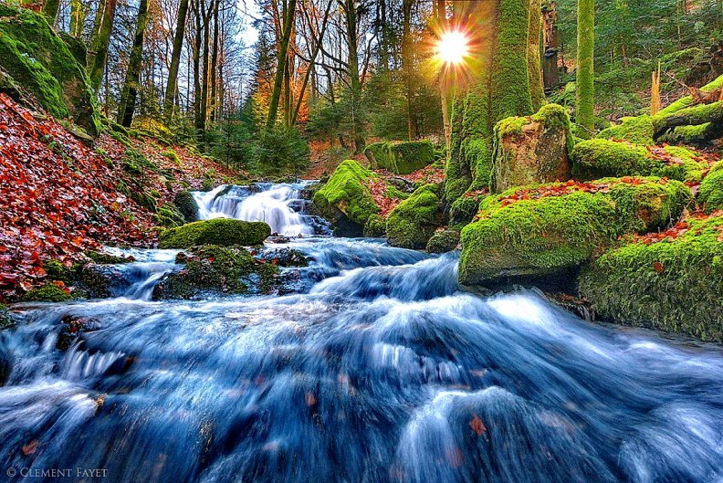 Fresh Water Woods Stream Download HD Wallpapers and Free Images