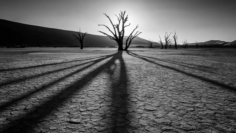 desert_shadows_in_black_and_white.jpg