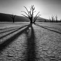 desert shadows in black and white