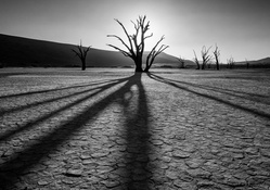 desert shadows in black and white