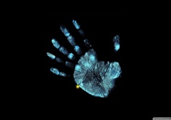 We Need Your Hand Print For Identification
