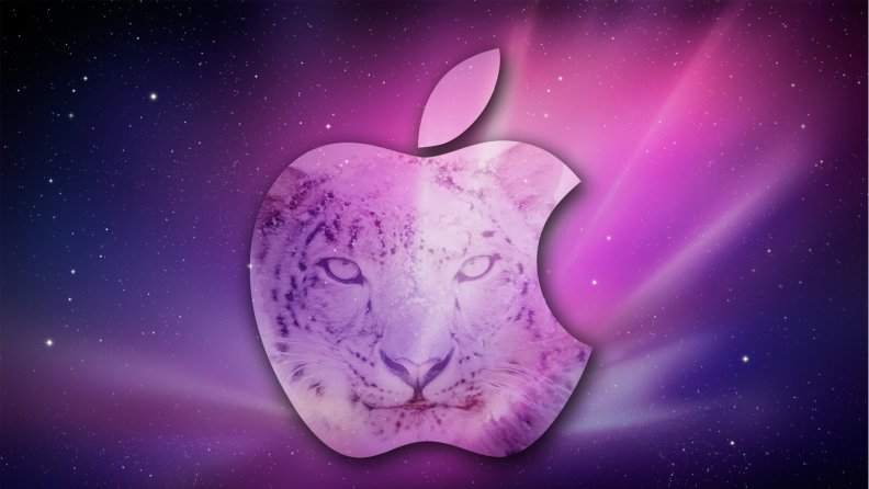 leopard_apple.jpg