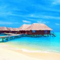 water bungalows