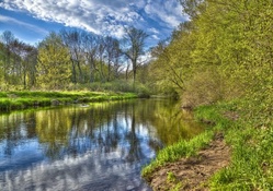 lovely forest river in spring