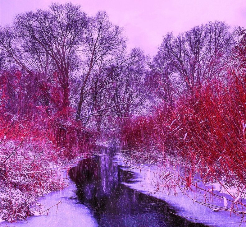 pink_winter.jpg