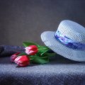 Tulips and Hat
