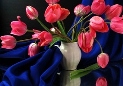 Beautiful Tulips in Vase