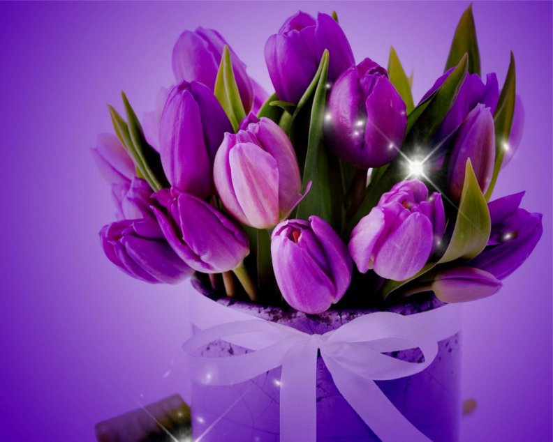 purple_tulips.jpg