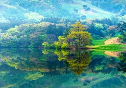 Spring Reflections, Seosan, South Korea