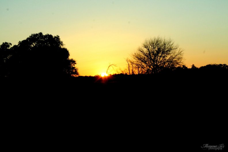 sunset_on_the_road.jpg