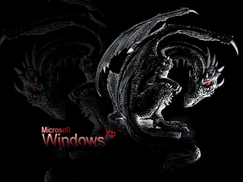 microsoft_windows_xp.jpg