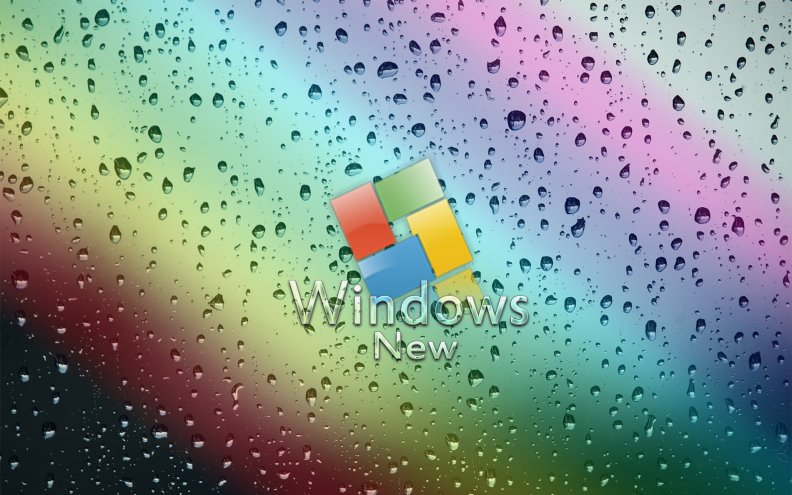 windows_new.jpg
