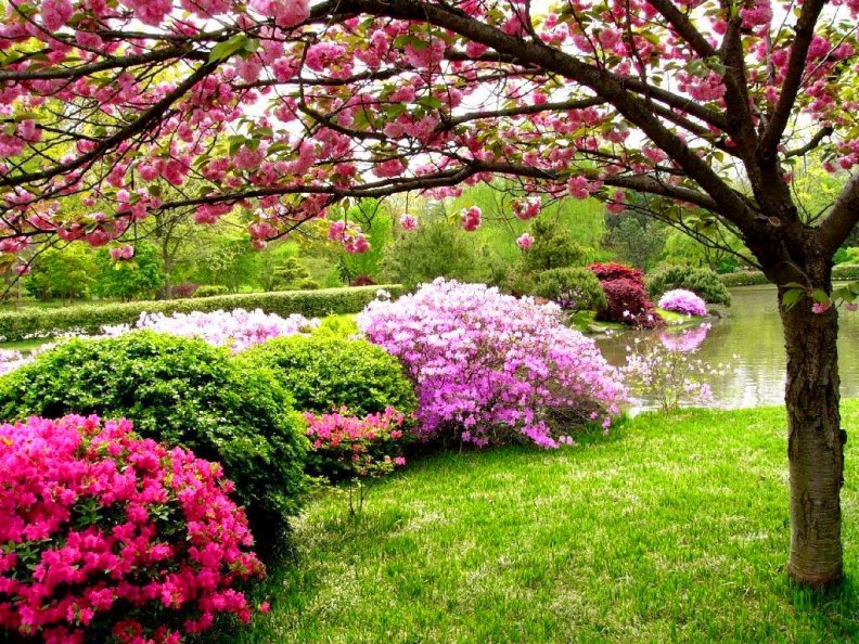 spring_scent.jpg
